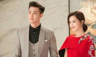 徐路电视剧 徐路电视剧