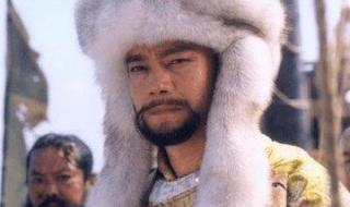 完颜阿骨打电视剧 完颜阿骨打电视剧