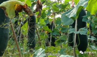 0.7公斤是多少克 0.7公斤是多少克